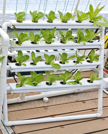 Hydroponic Nft Channel - 미니 24홀 수직 수경재배 시스템 PVC