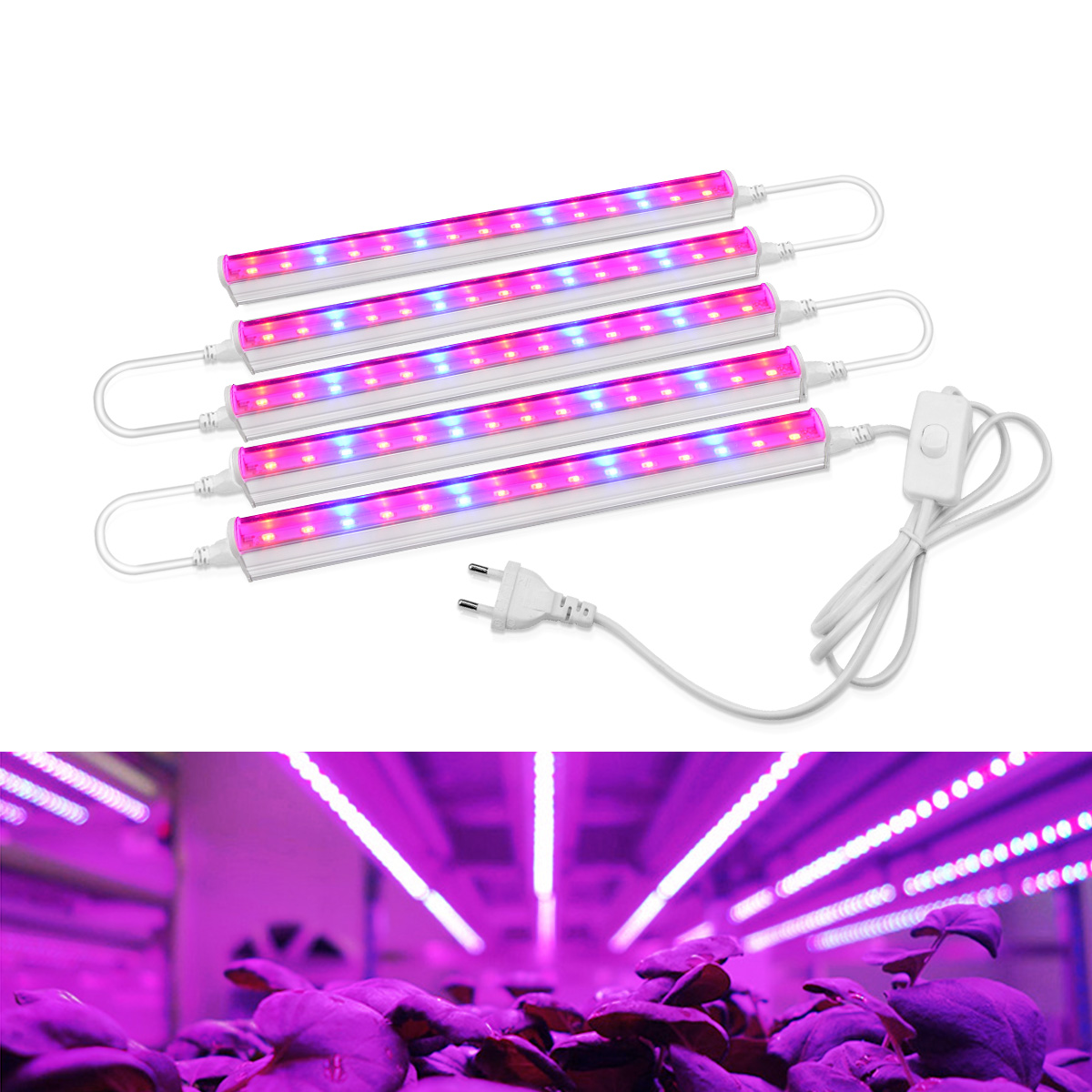 Hydroponic Nft Channel - AC220V 110V LED 성장 빛 1-5Pcs