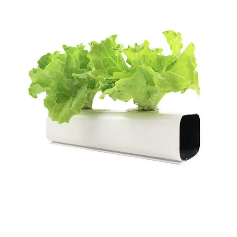 Hydroponic Nft Channel - 75x50mm 맞춤형 차광 PVC 프로파일 수경재배