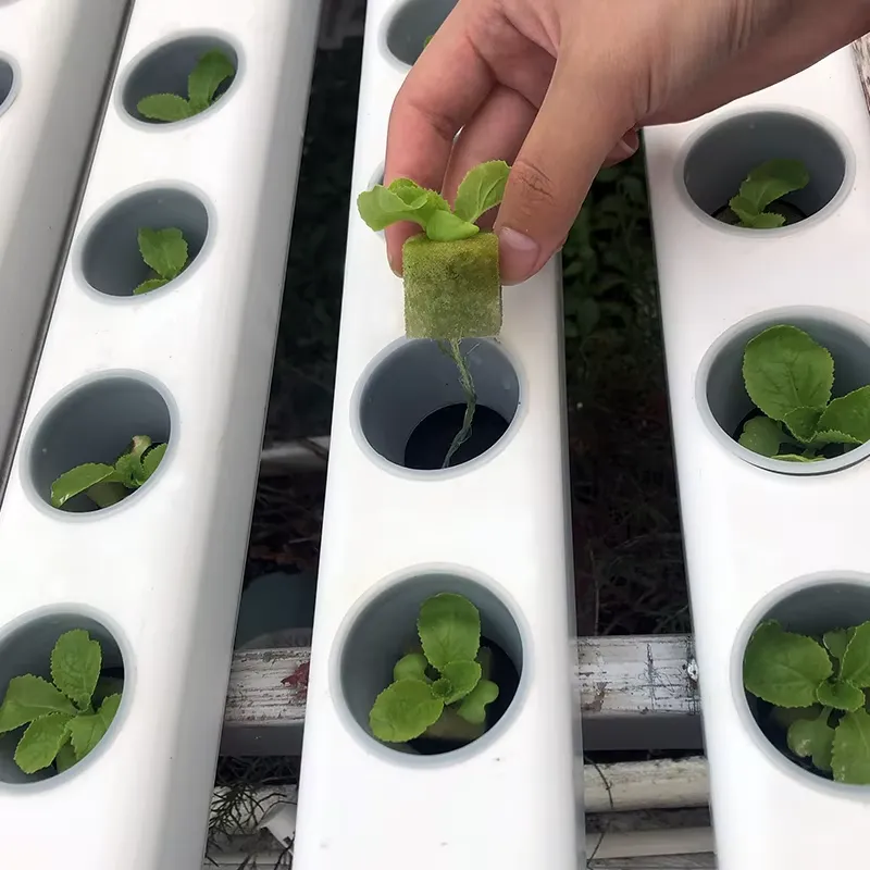 75x50mm 맞춤형 차광 PVC 프로파일 수경재배 N - Hydroponic Nft Channel 리뷰 및 가격