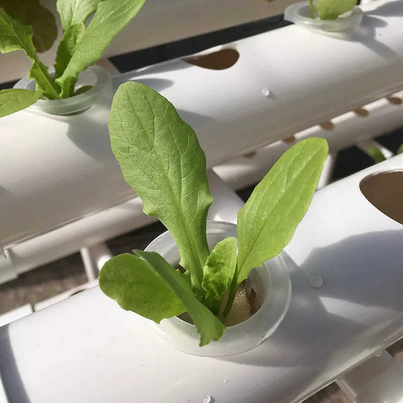 공장 직송 3층 수직 수경 재배 시스템 상업용 NFT  - Hydroponic Nft Channel 리뷰 및 가격