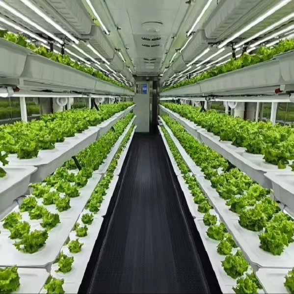 스마트 자동 에어로포닉/아쿠아포닉 채소 재배용 컨테이너 - Farming System & Sustainable Agriculture 리뷰 및 가격