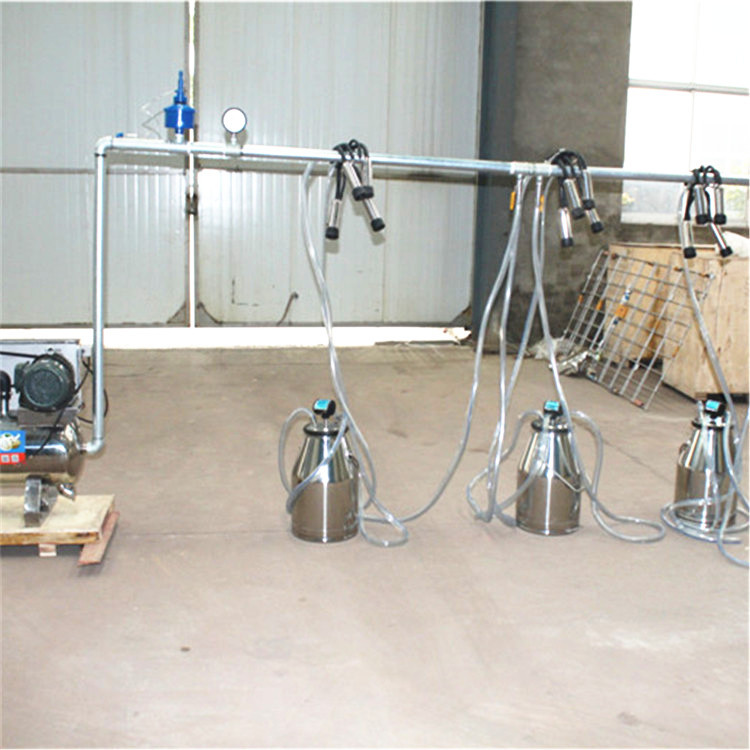 착유기, 버킷이 있는 고정식 시스템, 낙농장 장비, 자 - Farming System & Sustainable Agriculture 리뷰 및 가격