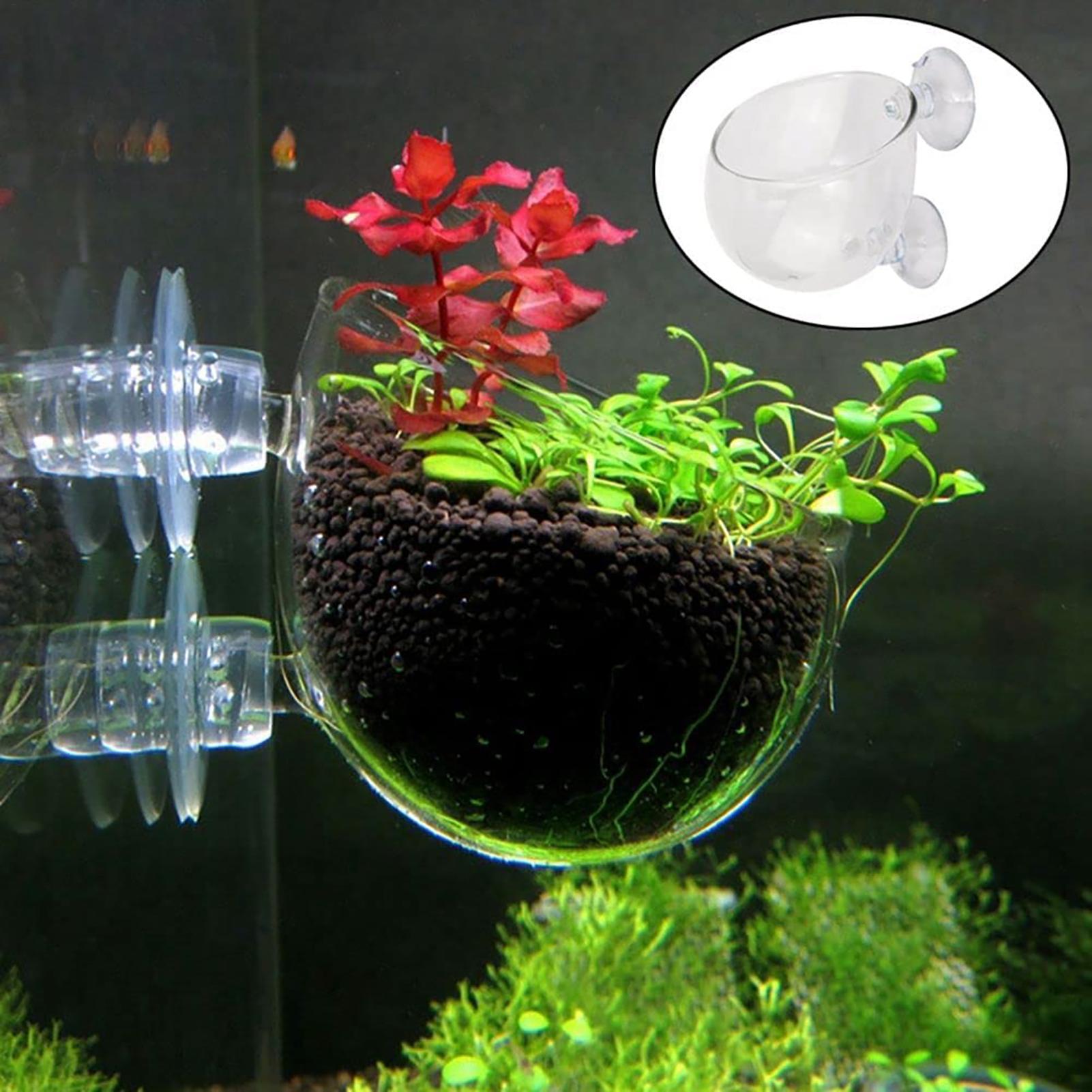 수생 식물 화분 흡착 컵이 있는 투명 아크릴 수족관 화 - Plant Growth Regulator 리뷰 및 가격