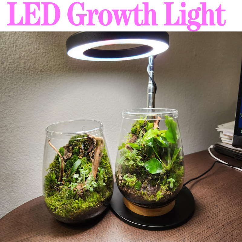 풀 스펙트럼 식물 램프, USB 성장 조명, LED 성 - Plant Growth Regulator 리뷰 및 가격