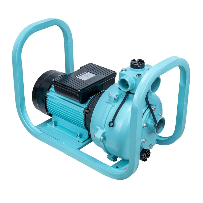 고출력 1500w 농업용 관개용 가정용 표면 AC 모터 - Farming Pump For Agriculture 리뷰 및 가격