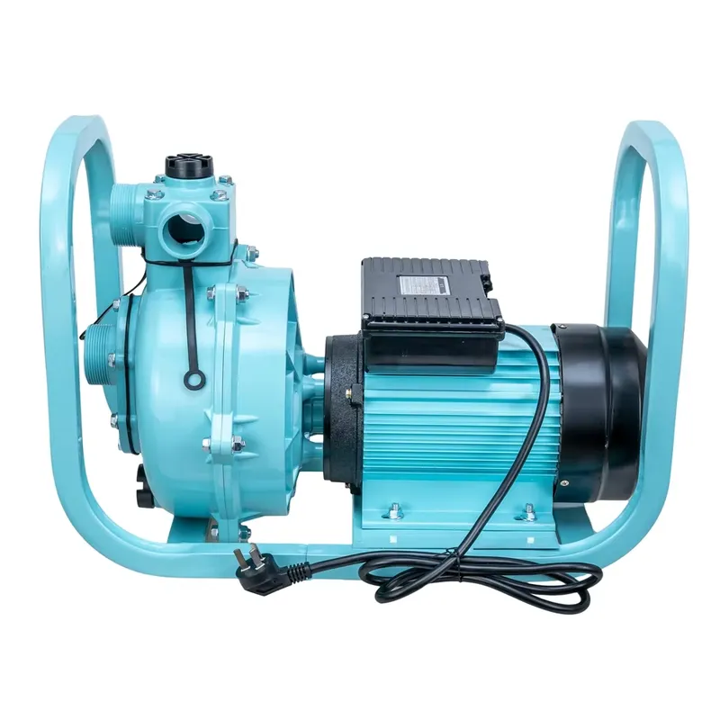 고출력 1500w 농업용 관개용 가정용 표면 AC 모터 - Farming Pump For Agriculture 리뷰 및 가격