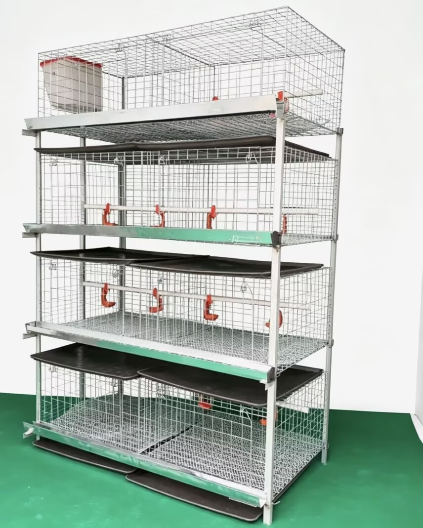 새로운 H형 육계 케이지 시스템 배터리식 양계장 4단  - Farming System & Sustainable Agriculture 리뷰 및 가격